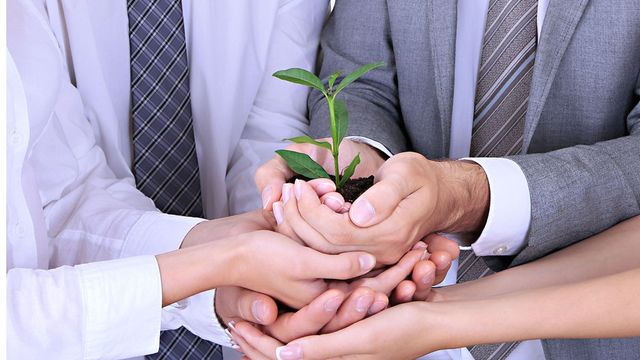 Le label Finansol veut garder sa longueur d'avance - ABDJ Patrimoine | Stratégie financière