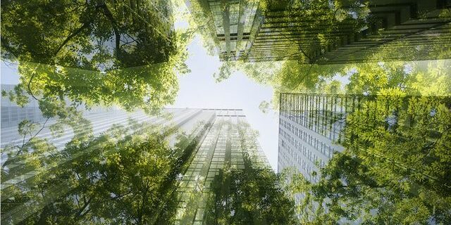 ONG et spécialistes du climat appellent à une réforme ambitieuse du label ISR - ABDJ Patrimoine | Stratégie financière
