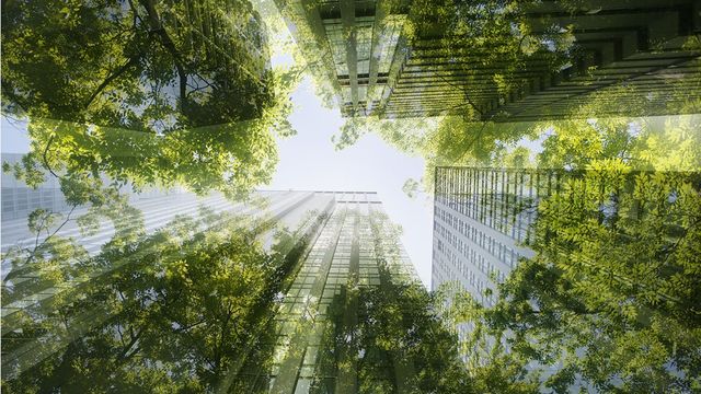 ONG et spécialistes du climat appellent à une réforme ambitieuse du label ISR - ABDJ Patrimoine | Stratégie financière