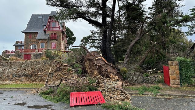 La tempête Ciaran pourrait coûter entre 370 et 480 millions d'euros aux assureurs - ABDJ Patrimoine | Stratégie financière