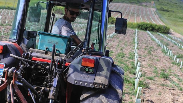 L'Etat va se porter garant de prêts pour le secteur agricole - ABDJ Patrimoine | Stratégie financière