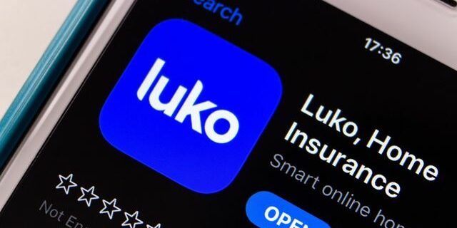 La chute du néoassureur Luko fait les affaires d'Allianz - ABDJ Patrimoine | Stratégie financière