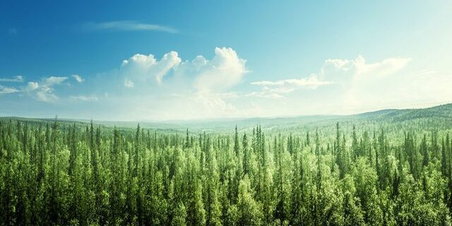 L'Europe avance sur la réglementation des agences de notation ESG - ABDJ Patrimoine | Stratégie financière
