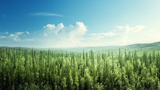 L'Europe avance sur la réglementation des agences de notation ESG - ABDJ Patrimoine | Stratégie financière