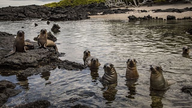 A la COP 28, les allègements de dette pour protéger l'environnement ont la cote - ABDJ Patrimoine | Stratégie financière