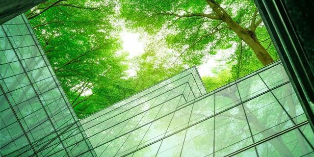 Montant record pour le nouveau green bond français - ABDJ Patrimoine | Stratégie financière