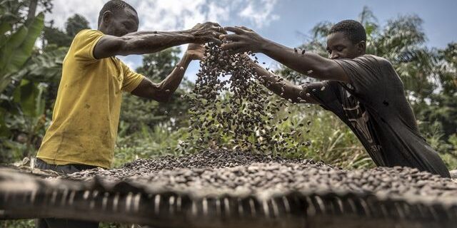 Les cours du cacao s'envolent à des niveaux stratosphériques - ABDJ Patrimoine | Stratégie financière