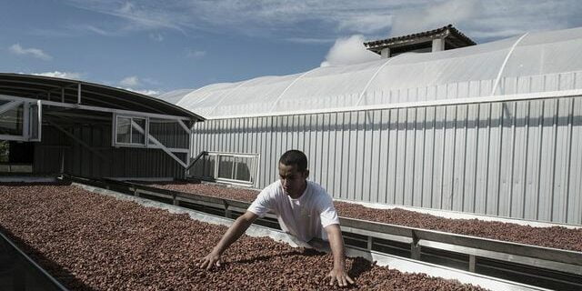 Cacao : les hedge funds se ruent sur « l'or brun » - ABDJ Patrimoine | Stratégie financière