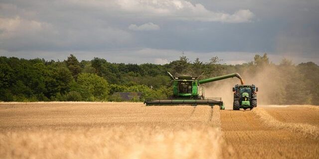 Crise agricole : l'assurance des récoltes peine à renouveler sa percée de 2023 - ABDJ Patrimoine | Stratégie financière