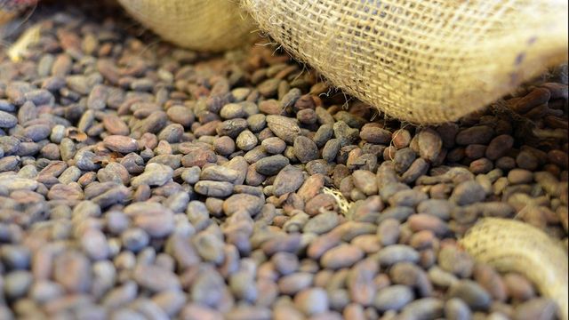 L'envolée du cacao pèse sur les coûts des géants du chocolat - ABDJ Patrimoine | Stratégie financière