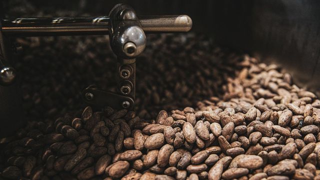 A plus de 9.000 dollars la tonne, le prix du cacao dépasse celui du cuivre - ABDJ Patrimoine | Stratégie financière